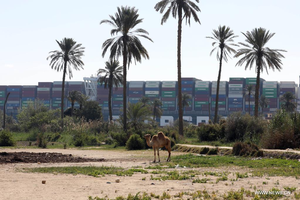 321 ????? ????? ?? ???? ?????? ??? ???? ????? ???????? ???????