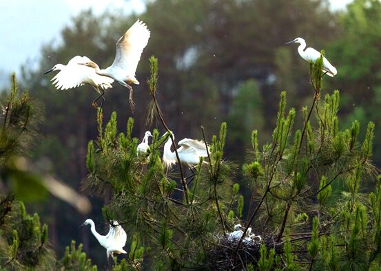 ?????: ????? ??????? ???? ????? ????? ???????