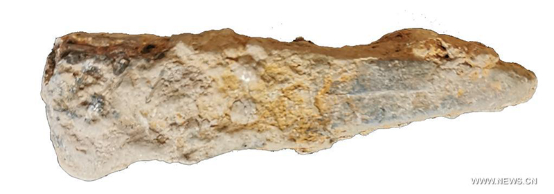 ?????? ??? ?? ???? ???? ??? ???? ??? ?? ????? ?????