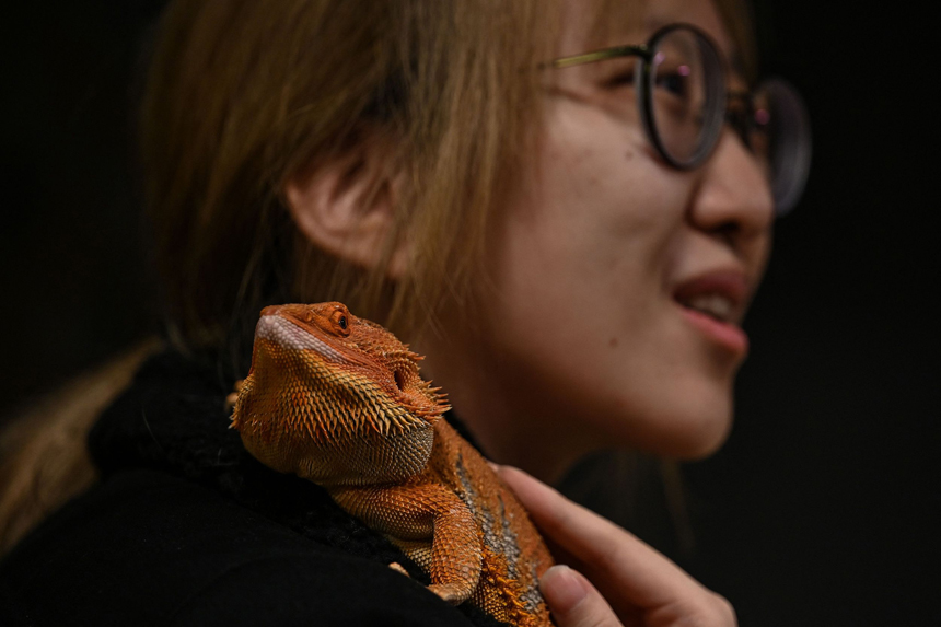 ????? ?? ?????? ????? ??????? ?????? ???? ?? ??????