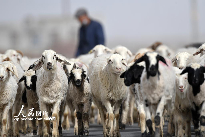 ????? ???? ???????? ??? ??????? ???????? ????? ????????