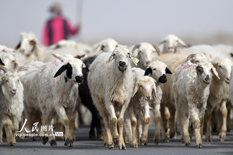 ????? ???? ???????? ??? ??????? ???????? ????? ????????