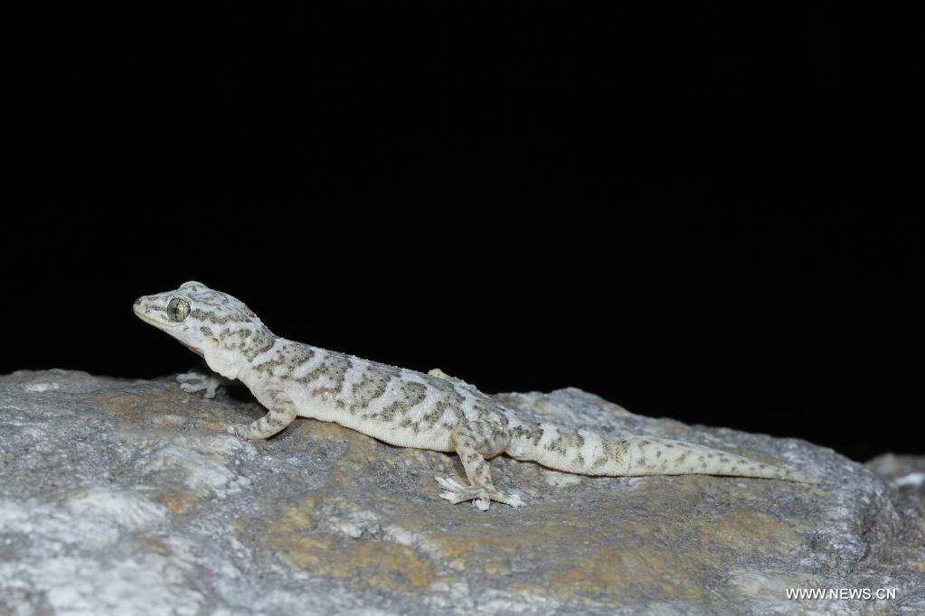 ?????? ??? ???? ?? ?????? ???? ??? ???????? ????? ?? ???? ???? ?????