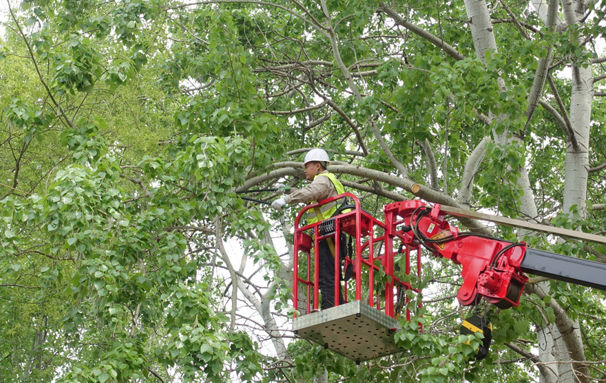 ?????? ??? ?????? ?????? ?? ??? ??????? ?? ????? ????