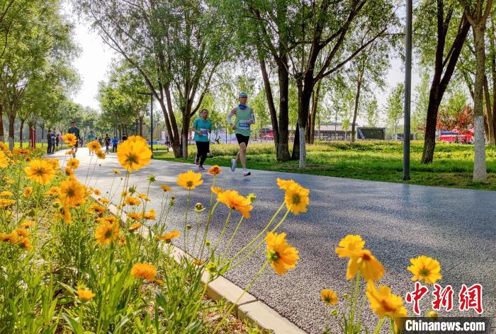 ????? ?????: ????? ???? ??? ????? ?????? ?? ???????? ??????? ?? ?????