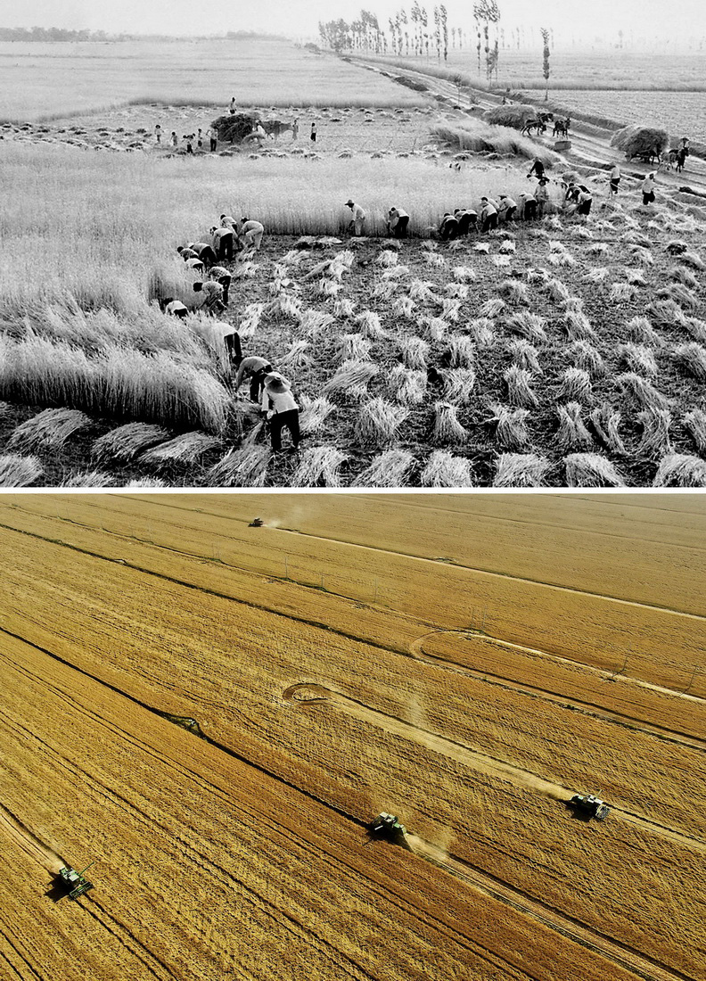 ???? ???? ?????? ????? ?? ????? ??????? ???????