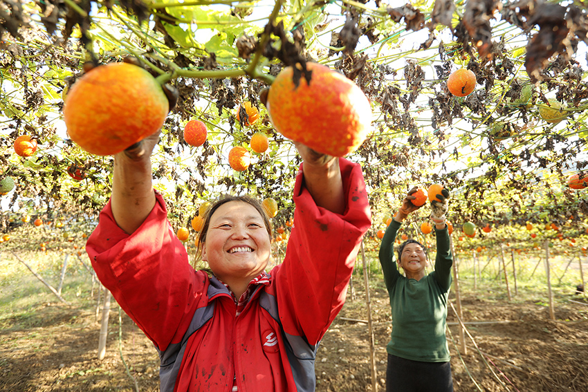 ???????? ???? ?????? ???? ???? ???????? ?????? ???????