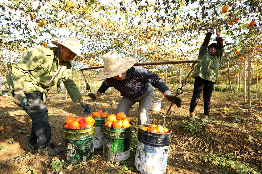 ???????? ???? ?????? ???? ???? ???????? ?????? ???????