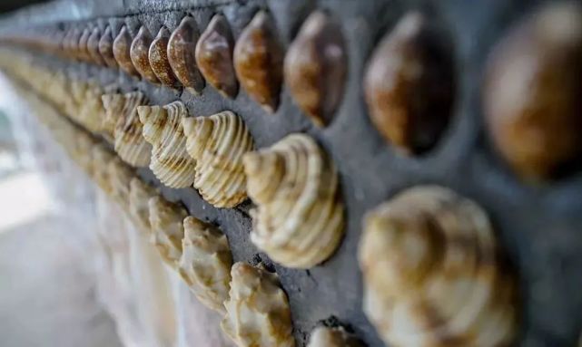 ???????: ??? ???? ?????? ???? ?? ??????