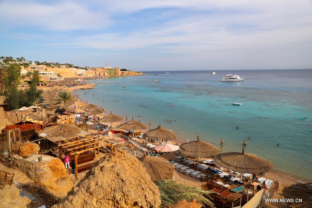 ????? : ???? ????? ???? ???? ?????? ?????? ??????? ???????? ???? ??????? ????????