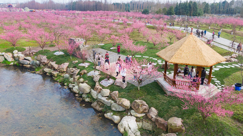 ????? ??????? ????? ?? ?????? ???????