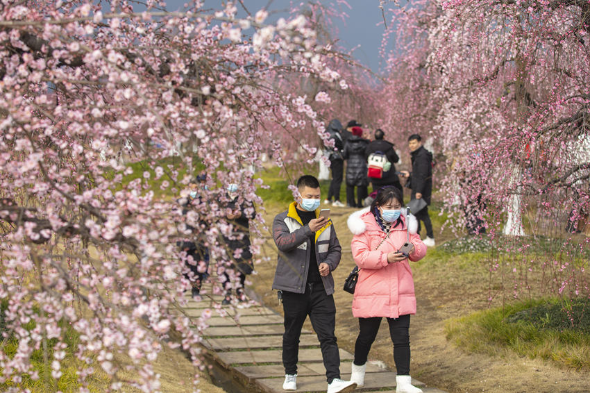 ????? ??????? ????? ?? ?????? ???????