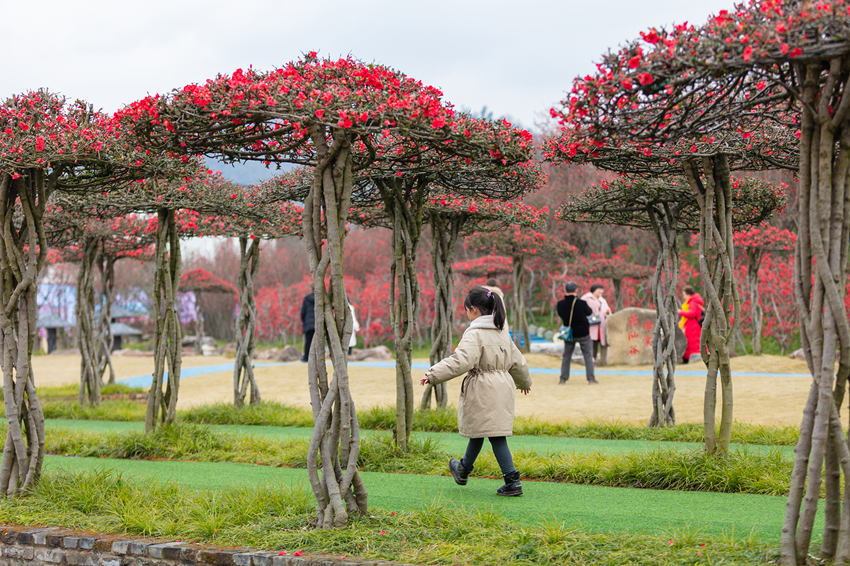 ????? ??????? ????? ?? ?????? ???????