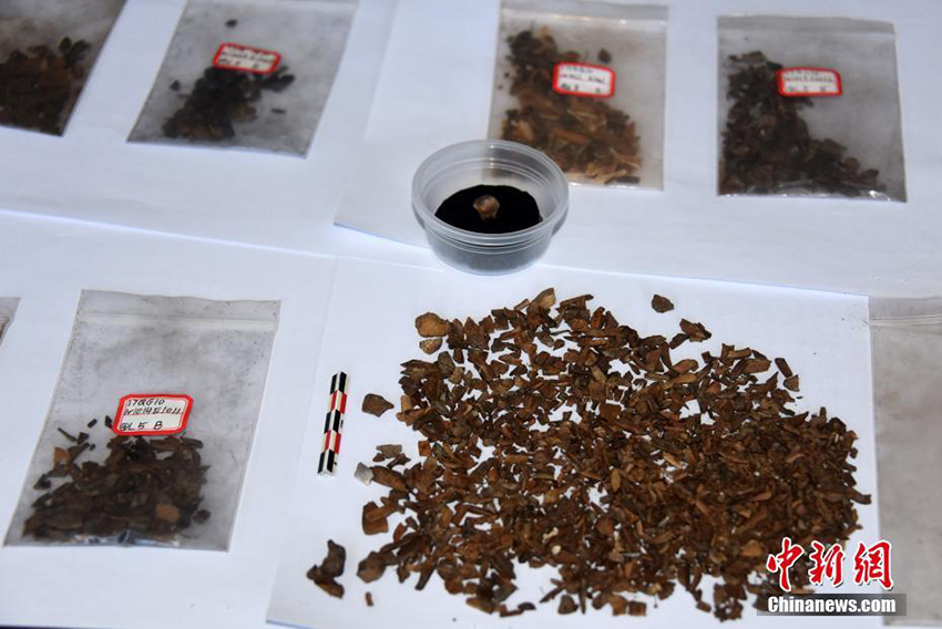 ?????? ???? ???? ????? ??? ??? ????? ??????? ?? ??????? ???????