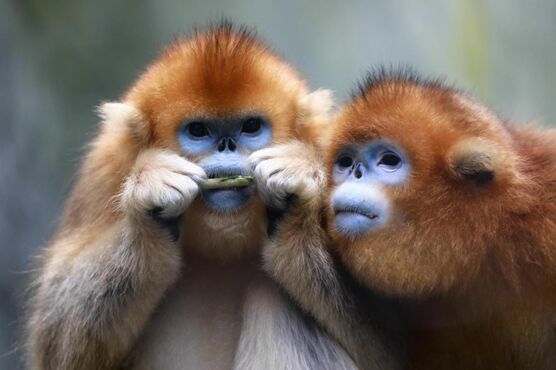 ???? ??????? ???????? ????? ?? ????? ?????? ?? ????????? ?????? ?? ?????