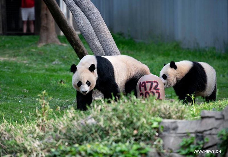 ????? ????? ?????????? ??????? ????????? ????? ??????? ???50 ?????? ???????? ??????? ????????