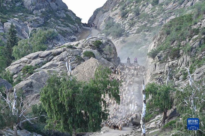 ???? ???????? ??????? ??? ??????? ???????