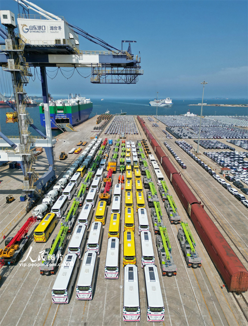 ???? ???????? ?????? ?????? .. ????? ?????? ???????? ???? ?????? ?????? ????????