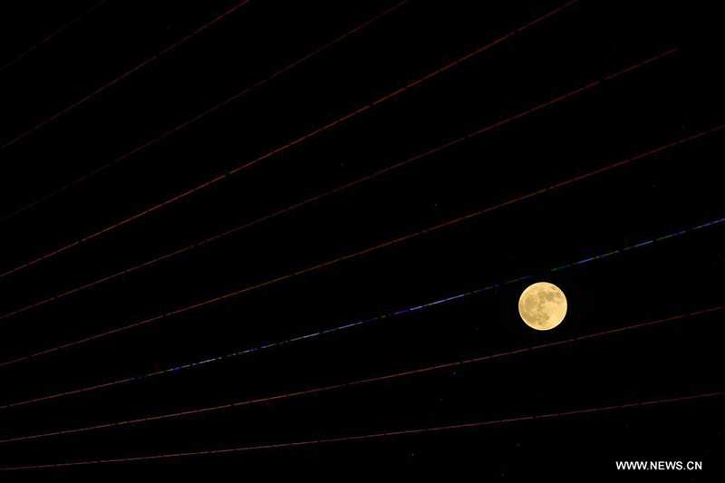 ?????: ????? ??????? ???? ???? ?????