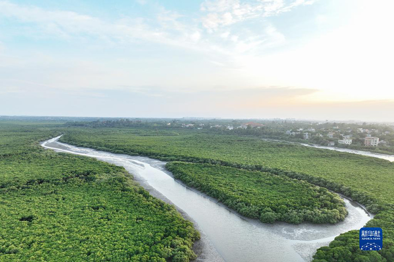 ?????: ??????? ?????? ????? ?????? ???? ??????