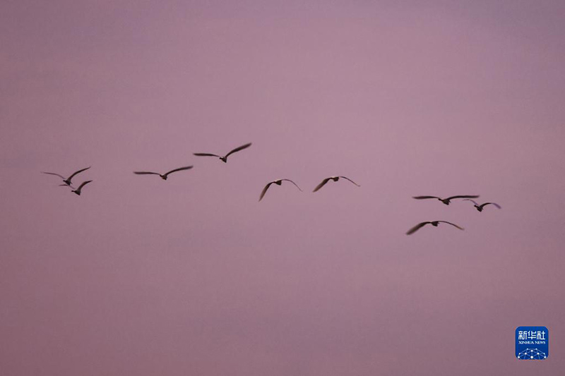 ?????: ??????? ?????? ????? ?????? ???? ??????