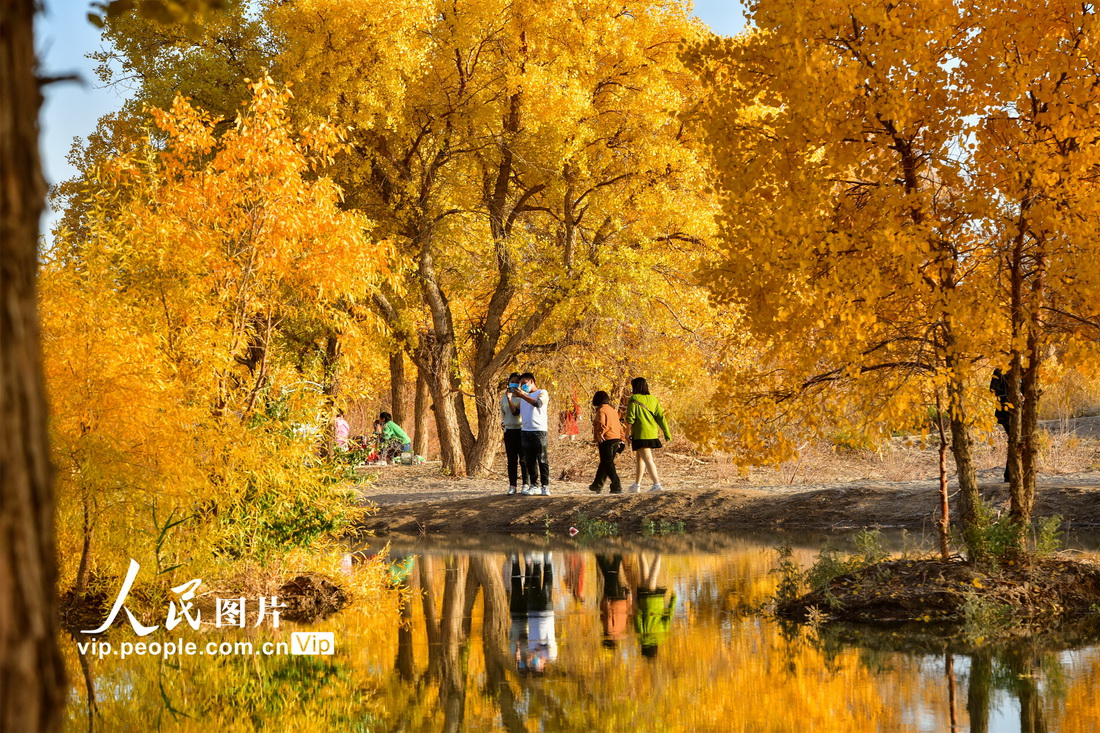 ????? ????? ?? ???????? ????? ?????? ??????