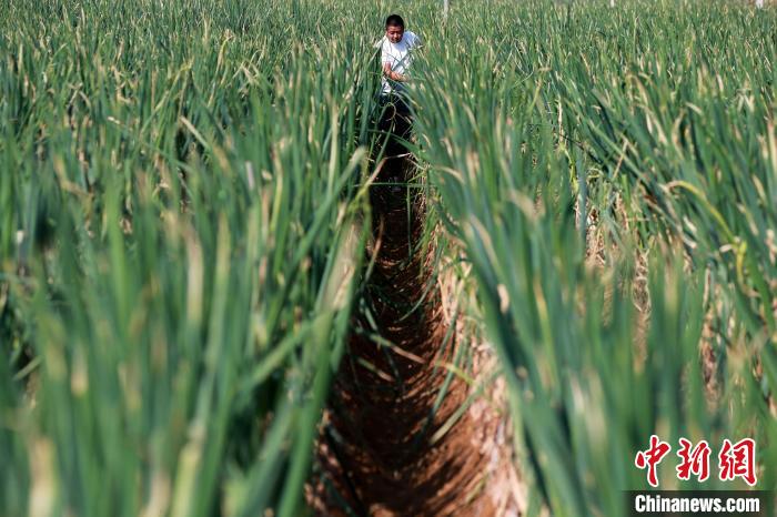 ????? ???? ?? ????? ?????? ?? ??????? ??? ????? 