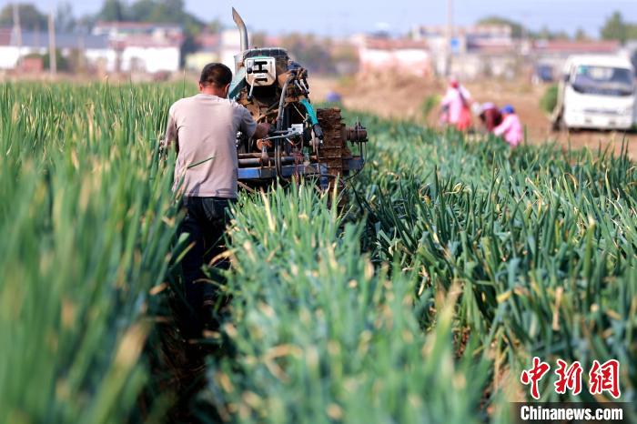 ????? ???? ?? ????? ?????? ?? ??????? ??? ????? 