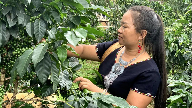 ???? ???? ???? ???? ?????? ???? ????? ?? ??? ????? ???????