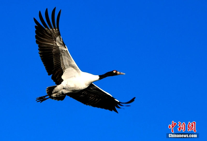 ???? ???? ????? ?????? ???? ????? ????? ??? ??????