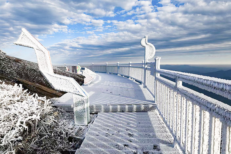 ???? ?????? ?????? ??? ??? ????? ???????