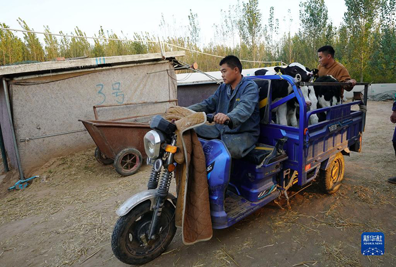 ??????: ???? ????? ???? ?????? ?????? ??????? ?? ?????? ????? ??????? ??? ???????