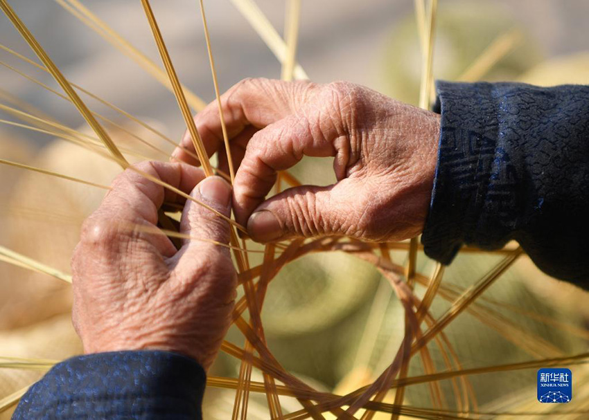 ?????? ???????? ??????? ?? ???? ??????? ????