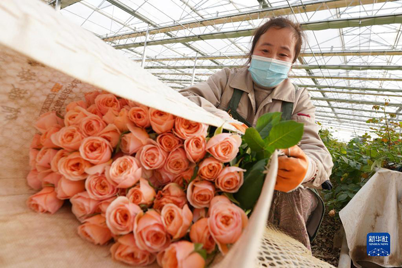 ?????? ?????? ?? ???? ???????? ???? ????