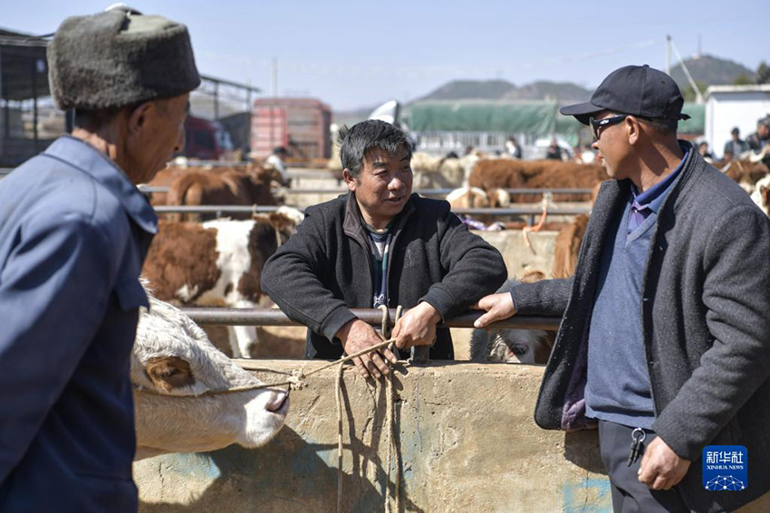 ??? ??????? ??????? (??????) ???? ?????? ????????