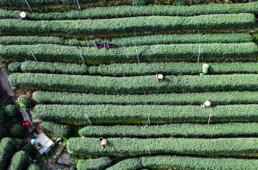 ?????? ??????? ?????? ??? ????? ??? ????????