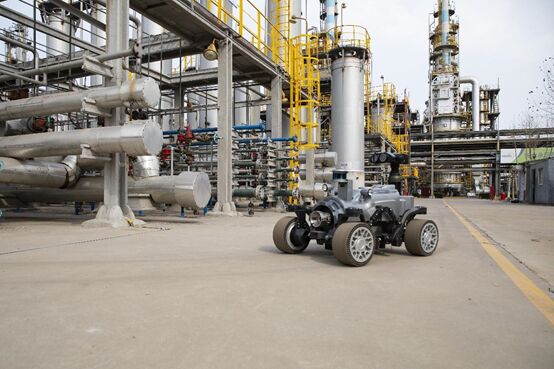 ????? ??????: ?????? ????????? ?? ????? ???? ????? ????? ?? ??????