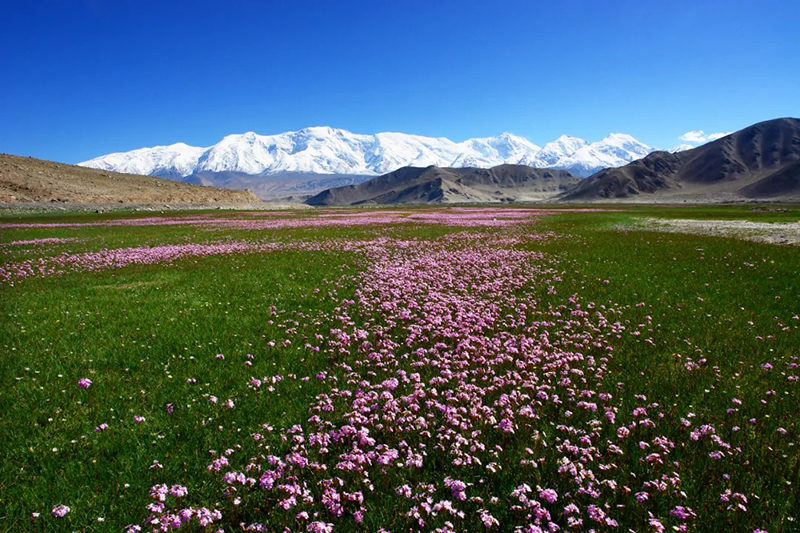 ???? ????? ????? ?? ???? ??????