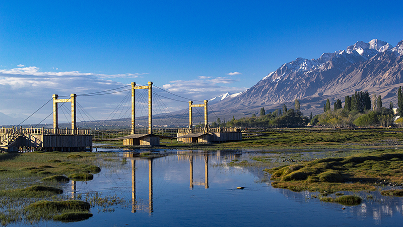 ???? ????? ????? ?? ???? ??????