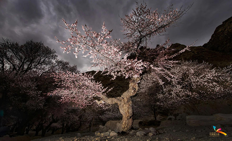 ???? ????? ????? ?? ???? ??????