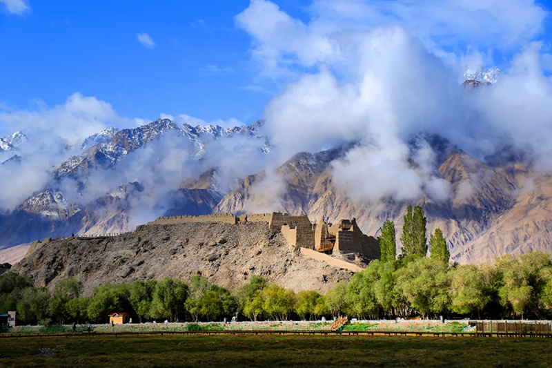 ???? ????? ????? ?? ???? ??????