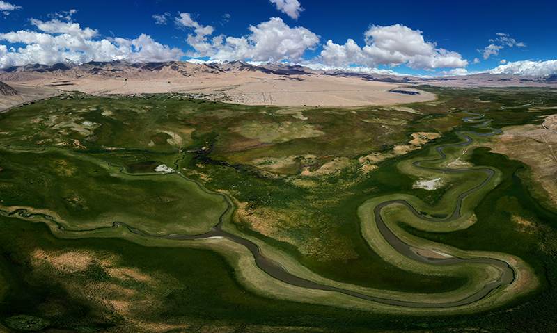 ???? ????? ????? ?? ???? ??????