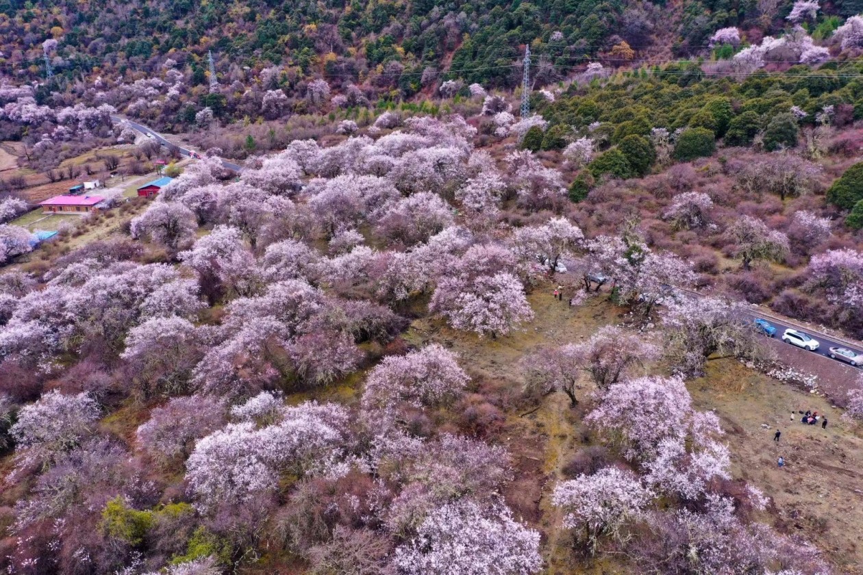 ?????? ???? ??? ????? ????? ?? ???? ??????