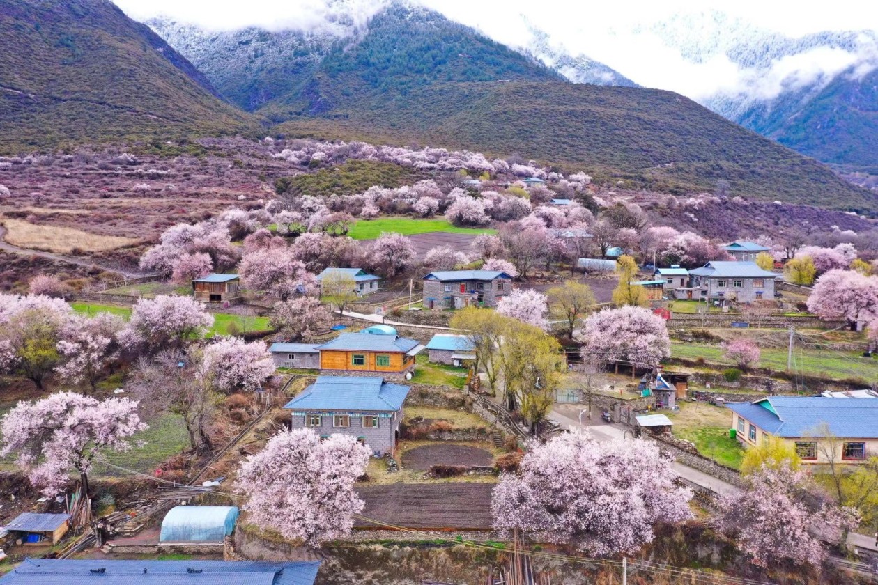 ?????? ???? ??? ????? ????? ?? ???? ??????