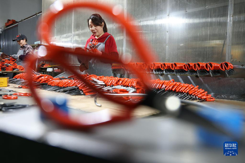 ?????? ???????: ???? ????? ???????? ???????? ?? ?????