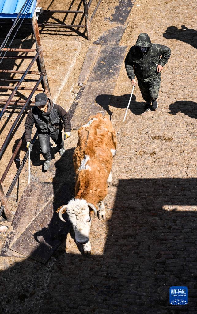 ?????? ??? ??????? ?? ???????? ???????? ????????