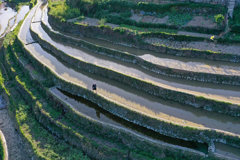 ???? ???? ???? ???? ?????? ????????