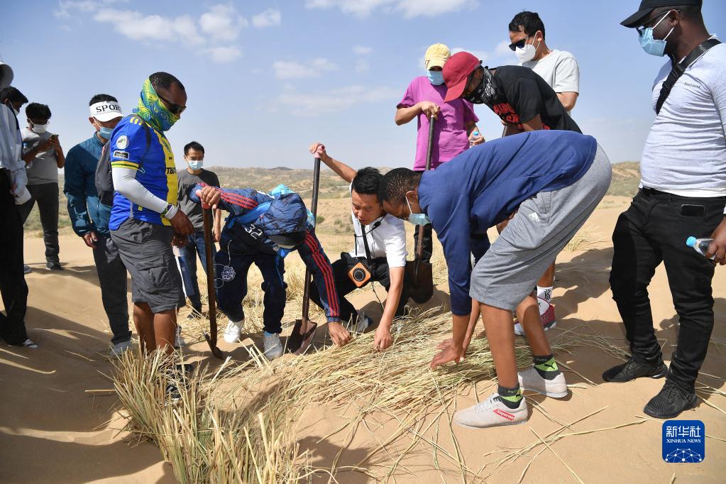 ????? : ???? ?????? ??????? ????? ????? ?????? ?????? ?? ?????