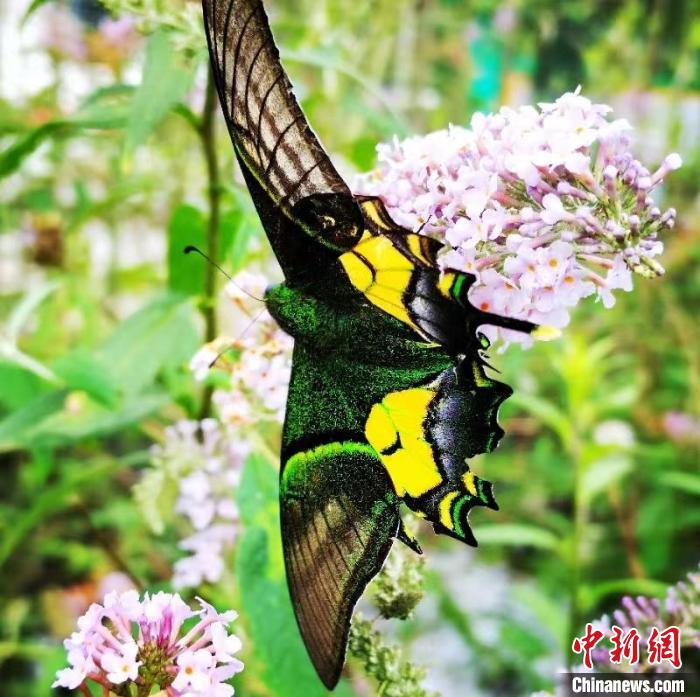 ?????? ??? ????? ??? ???? ????