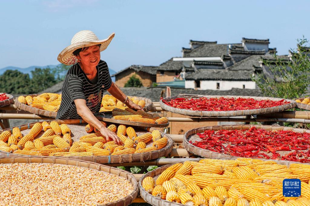 ???? ???? ??????: ????? ???????? ???????? ?? ???? ????? ??????